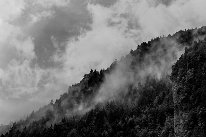 2018_06_05_Haute Savoie  (0051_bnw).jpg - Balme De Thuy (Juin 2018)